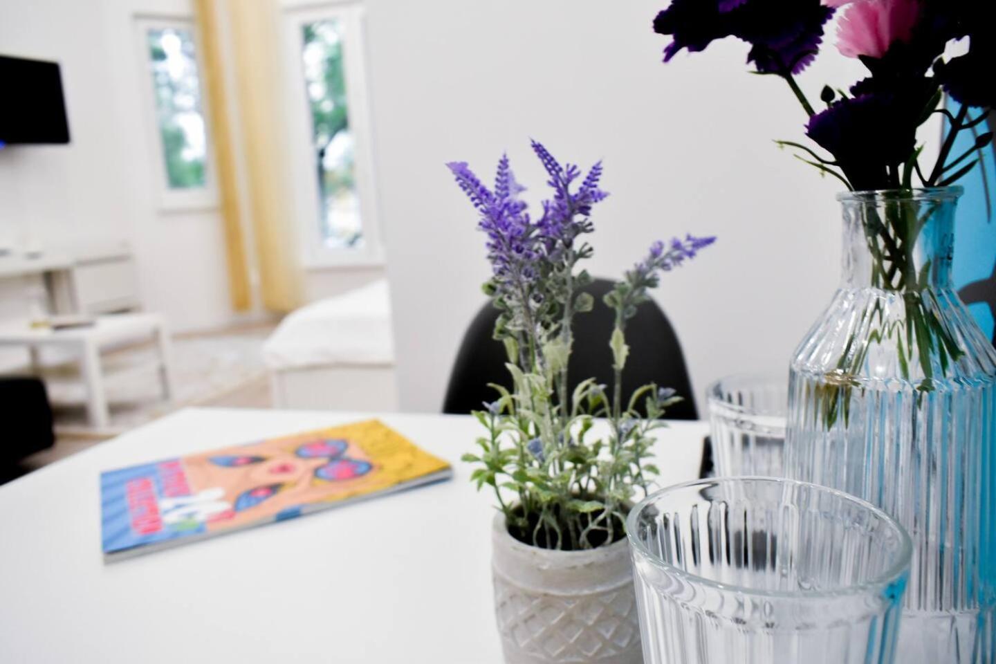 Duplex Condo Prime Location 2Bth 2 Studios โซเฟีย ภายนอก รูปภาพ